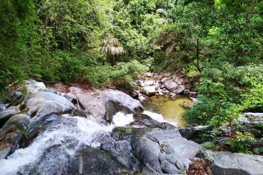 Hiking near Santa Marta, Colombia: Paso del Mango, Massinga